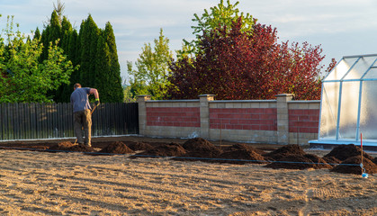 man prepares peat in the garden while sowing vegetables