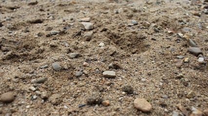 sand on the beach