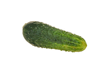 Green ripe fresh cucumber over background