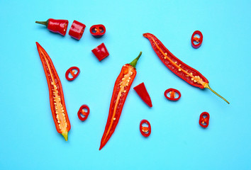Hot chili pepper on color background