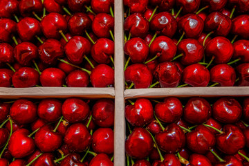 Ripe sweet cherries in trays at the market, beautifully laid out berries. Top view. Close-up. Health and vitamins.