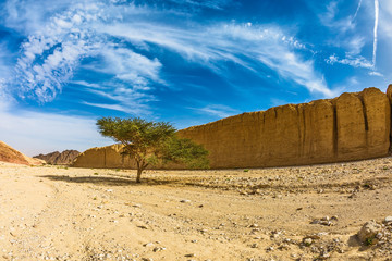 The stone desert in Eilat mountains