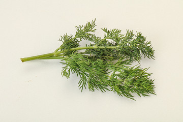Aroma seasoning - Green Dill branch