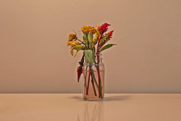 flowers in vase