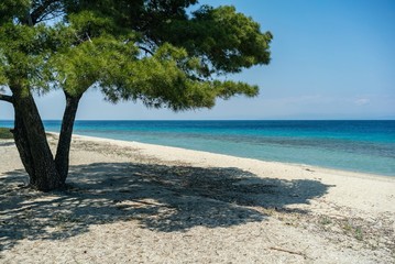 Aerial drone view of Port Glarokavos and lagoon beach in Kassandra penisula Chalkidiki Greece