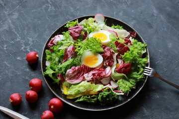Mix healthy salad romaine,chard,radicchio with radish and eggs.