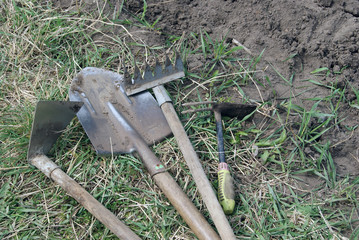Rake, shovel and hoes lie on the green grass at the edge of the plowed land