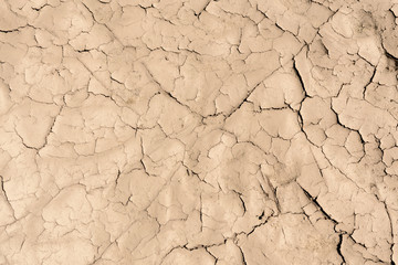 cracked earth texture
dry riverbed texture due to climate change