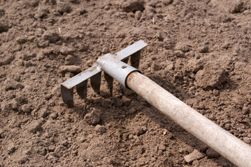 A small rake with a wooden handle is lying on the plowed ground