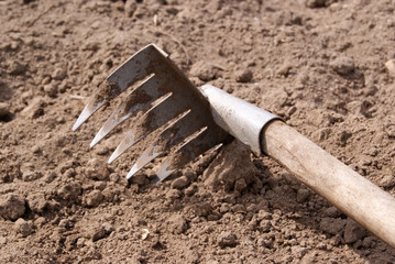 A small rake with a wooden handle is lying on the plowed ground