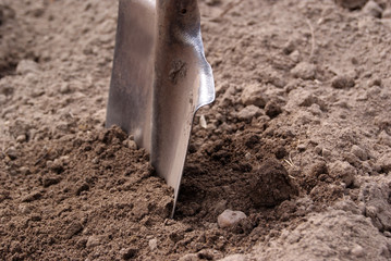 old shovel in the ground close up