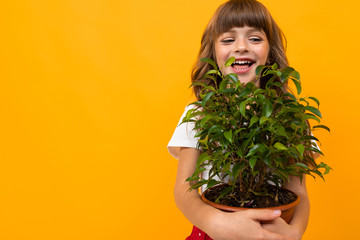 girls holding a homemade flower in a pot in their hands on an orange background close-up with copy space