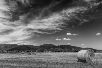 Superb black and white view of the Tuscan countryside in the Bientina area with Monte Serra in the background, Italy, with round bales of hay in the fields to dry