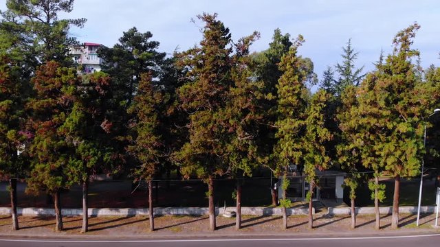 Aerial, rising, drone shot over a wall, in the Gonio fortress revealing buildings and the blac sea, sunny day, in Adjara, Georgia