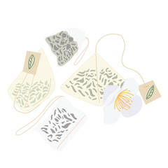 A hand-drawn set of green tea bags. The flower of the Chinese Camellia sinensis. Vector illustration on an isolated white background. Transparent element.