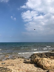 fly