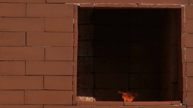Brick Oven and Fire