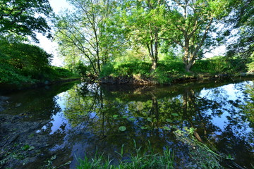 Naklejka na ściany i meble The River Mole in May in Horley in Surrey.