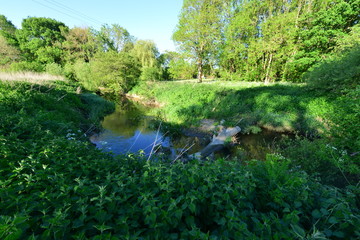 The River Mole in May in Horley in Surrey.