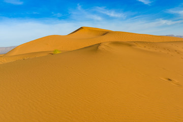 Fototapeta na wymiar Dunes of Sahara Desert at sunset. Wild nature background.