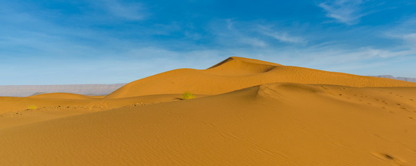 Plakat Dunes of Sahara Desert at sunset. Wild nature background.