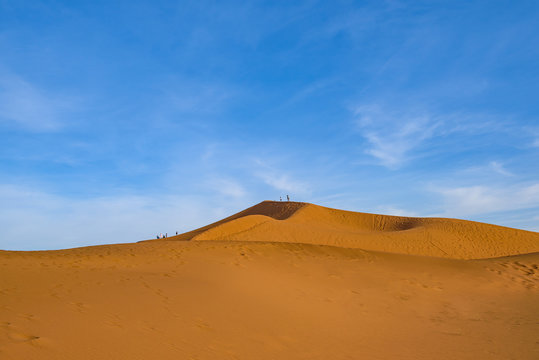 Dunes of Sahara Desert at sunset. Wild nature background. © ggfoto