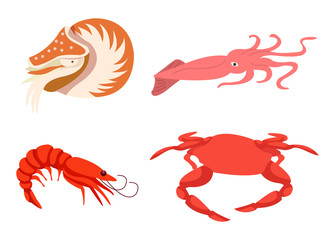 Illustration of various types of shrimp under the sea. Perfect graphics for landing pages, websites and many more