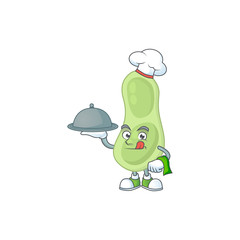 A staphylococcus pneumoniae chef cartoon design with hat and tray