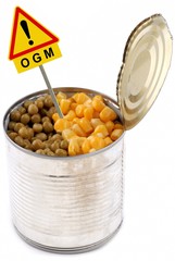 Concept d'organisme génétiquement modifié avec du maïs et des petits pois dans une boîte de conserve avec un panneau de signalisation
