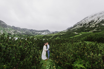 Fototapeta na wymiar Beautiful bride and groom hug and kiss in the mountains. Wedding photo session in the mountains.
