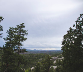 Black Hills landscape between pine trees with natural view of green forest and mountains as wallpaper for travelers and costa card from vacation from summer, copy space for text 