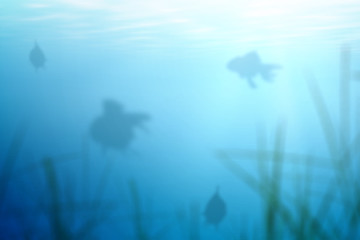 Fototapeta na wymiar Underwater view with sea plants and tropical fish