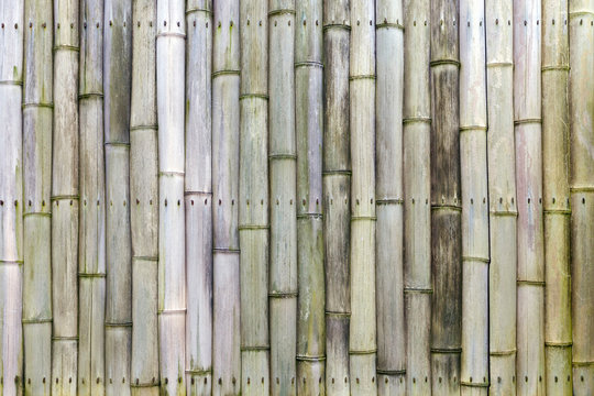 Old Japanese Bamboo Fence background.