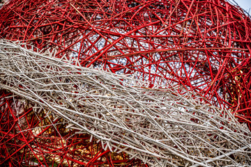 red and white intertwined tree branches