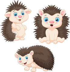 Collection of baby hedgehog cartoon sets