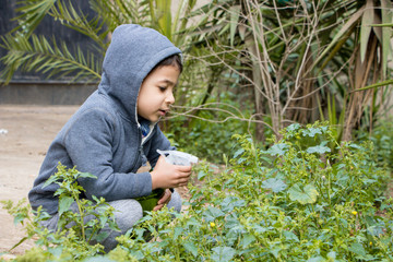 little boy in the garden spraying the plants