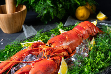 the cooked lobster on ice