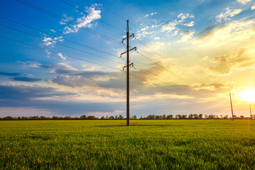 High voltage line at sunset or sunrise on a green wheat field