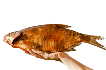 smoked fish carp, bream in the hand of a man.Isolate on a white background.Healthy and...