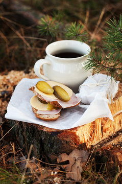 breakfast, afternoon tea in the woods. Coffee and sandwiches served in the woods on the tree. A break in the journey. A break at work in the forest.