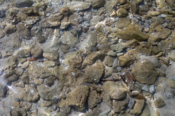 Sea bottom with small stones, Alghero