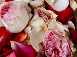 roses, pot pourri