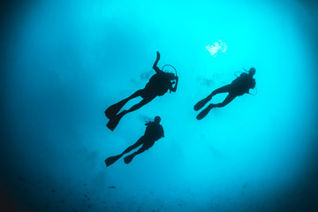 Silhouette of divers swimming in clear blue water around a coral reef