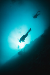 Obraz premium Silhouette of divers swimming in clear blue water around a coral reef