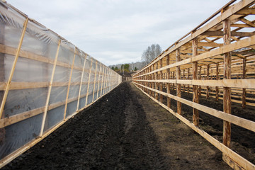 Fototapeta premium look between greenhouses in the field