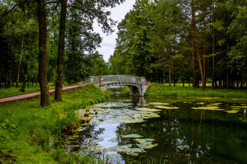 Fototapeta na wymiar Summer landscape. A lake in the middle of a park. On the lake is a bridge. Trees are reflected in the lake.