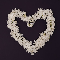 White lilac flowers laid out in the shape of a heart, on a dark purple background, top view, flat lay. Place for text. Mother's day, declaration of love.