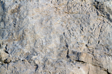White sea stone texture background