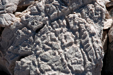 White sea stone texture background