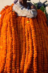 Ghazipur flower market situation in the morning, the flower itself came from China, Vietnam,...